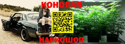 прущий лед Моздок