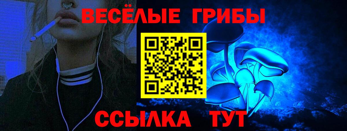Псилоцибиновые грибы Psilocybe Чебаркуль